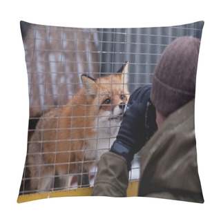 Personality  Red Fox In A Zoo Pillow Covers
