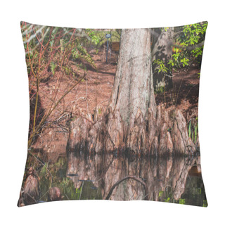 Personality  A Picture Of A Swamp Cypress Beside The Swamp.   Vancouver  BC  Canada Pillow Covers