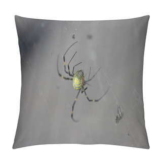 Personality  Tokyo, Japan, 3 November 2023: Golden Orb-weaver Spider In Its Web Pillow Covers