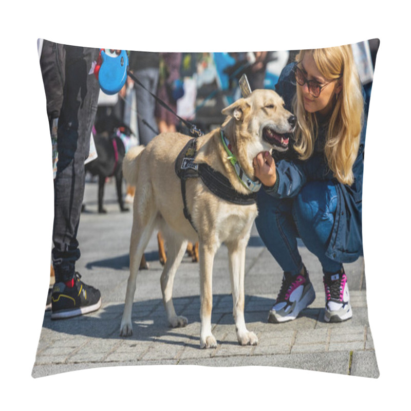 Personality  Wroclaw, Poland - September 2022: Freedom square in Wroclaw and city streets full of small and big dogs at Wroclaw Dogs Parade Hau Are You organized by local homeless animal shelter pillow covers