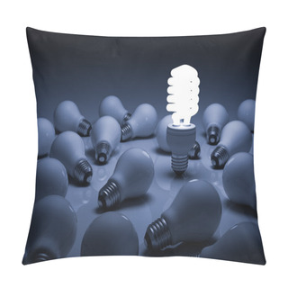 Personality  Lit Compact Fluorescent Lightbulb Standing Amongst The Unlit Incandescent Bulbs Pillow Covers