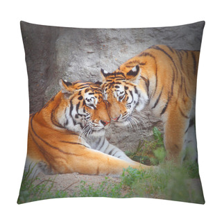 Personality  Tiger's Couple. Love In Nature. Pillow Covers