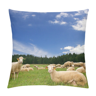 Personality  Sheep Pillow Covers