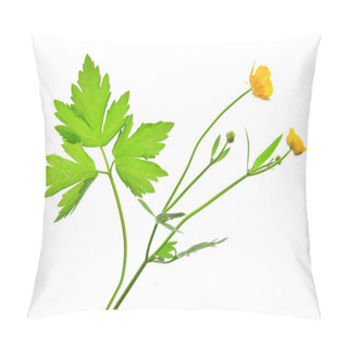 Personality  Buttercup (Ranunculus Acris) Pillow Covers