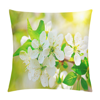 Personality  Blooming Branch Of Cherry In The Sun Pillow Covers