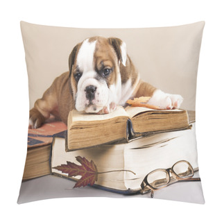 Personality  English Bulldog Puppy And Book Pillow Covers