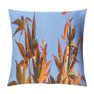 Personality  Autumn Leaves On Maple Tree With Blue Sky At Background, Panoramic Shot Pillow Covers