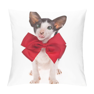 Personality  Little Kitten, Black Bicolor Pillow Covers