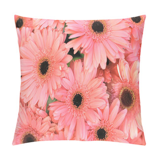 Personality  Gerber Flowers Pillow Covers