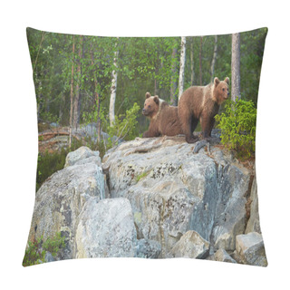 Personality  Two Brown Bear Cubs On Rocks Waiting For Return Of The Mother Bear Pillow Covers