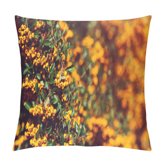 Personality  Pyracantha Berry, Close Up. Autumn Berries And Leaves. Colorful Fall. Autumn Card. Autumn Nature Background Pillow Covers