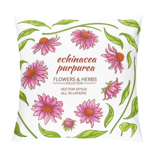 Personality  Echinace Purpurea Vector Pillow Covers