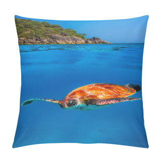 Personality  Hawksbill Turtle At Similan Islands Pillow Covers