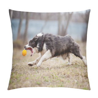 Personality  Blue Border Collie Dog Playing With A Toy Ball Pillow Covers
