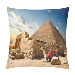 Personality  Camel Near Ruins Pillow Covers