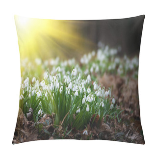 Personality  Beautiful Snowdrops Background Nature Scenic View  Pillow Covers