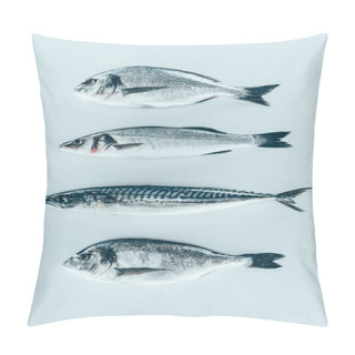 Personality  Top View Of Assorted Uncooked Sea Fish Isolated On Grey   Pillow Covers