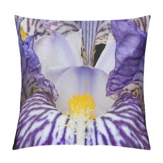 Personality  Purple Iris On Details Pillow Covers