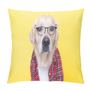 Personality  The Dog In Glasses And A Red Shirt Sits On A Yellow Background. Golden Retriever Dressed As A Programmer, Teacher Or Businessman. Pillow Covers