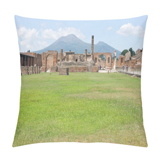 Personality  Pompeii Pillow Covers
