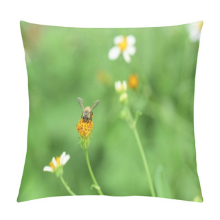 Personality  Flowers And Small Bees Beauty In Nature Pillow Covers