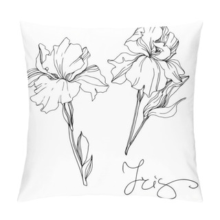 Personality  Vector Monochrome Isolated Irises Illustration On White Background Pillow Covers