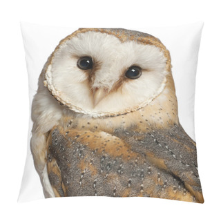 Personality  Portrait Of Barn Owl, Tyto Alba, In Front Of White Background Pillow Covers