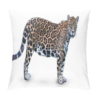 Personality  Isolated On White Background, Side View On Jaguar, Panthera Onca, The Biggest Cat In South America, Gazing Directly At Camera. Pillow Covers