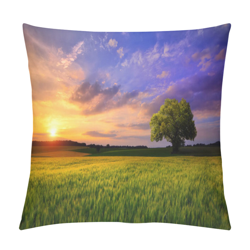 Personality  Sunset scenery on an open field with a lone tree on the horizon and the sky painted in gorgeous dramatic and emotional colors pillow covers