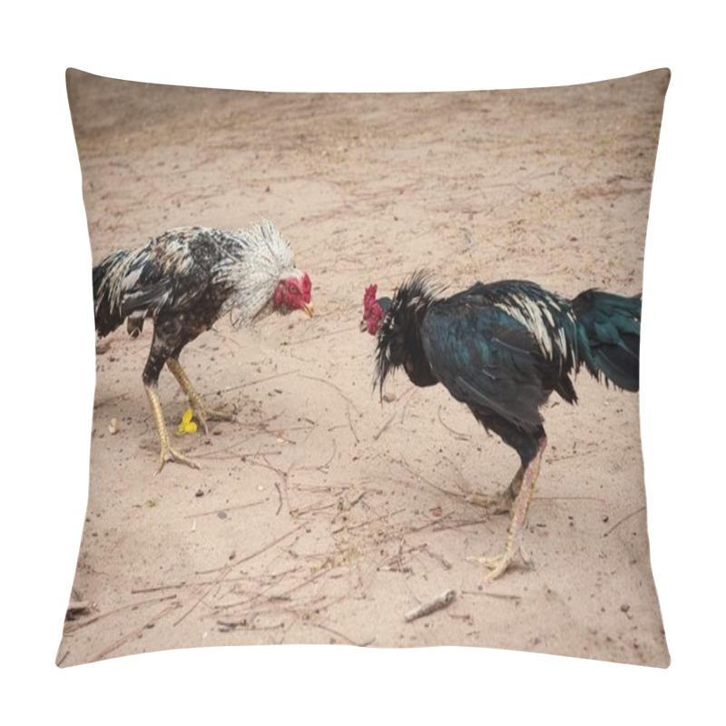 Personality  Fighter Cocks Pillow Covers