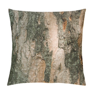 Personality  Close-up Shot Of Termite Patterned Tree Bark Under Sunlight Pillow Covers
