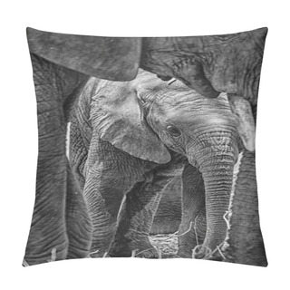 Personality  A Baby Elephant Pillow Covers