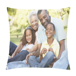 Personality  Grandparents With Grandchildren Relaxing In Park Pillow Covers