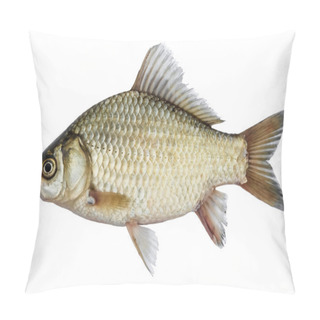 Personality  Isolated Crucian Carp, A Kind Of Fish From The Side. Live Fish With Flowing Fins. River Fish Pillow Covers