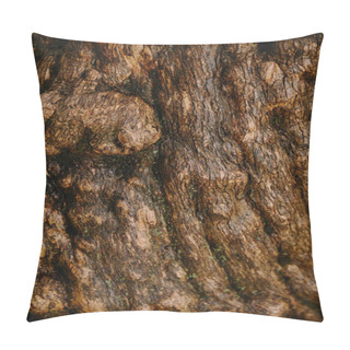 Personality  Close Up Of Brown Old Oak Bark Pillow Covers