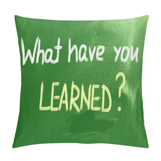 Personality  What Have You Learned Concept Pillow Covers