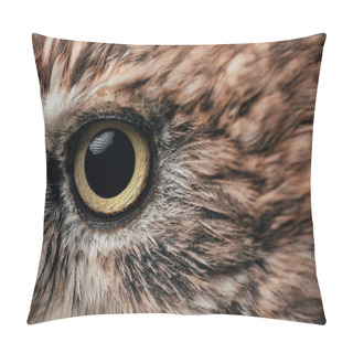 Personality  Close Up View Of Wild Owl Eye Pillow Covers