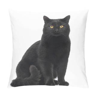 Personality  Black Cat Sitting And Looking At The Camera, Isolated On White Pillow Covers