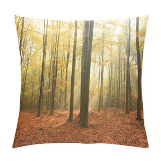 Personality  Beautiful Sunny Morning In The Autumn Forest Pillow Covers