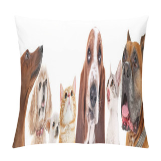 Personality  Cute Friendly Pets Pillow Covers