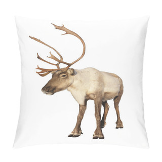 Personality  Complete Caribou Reindeer Isolated Pillow Covers