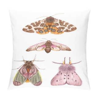 Personality  Watercolor Illustrations Insects - Moths.  Pillow Covers
