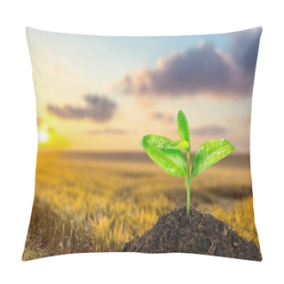 Personality  Green Plant In Soil Pillow Covers