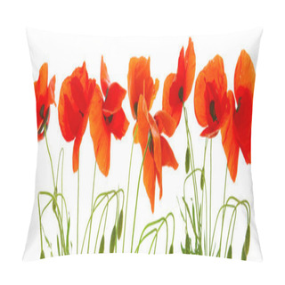 Personality  Red Poppies Isolated . Pillow Covers