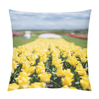 Personality  Selective Focus Of Yellow Colorful Tulips Field Pillow Covers