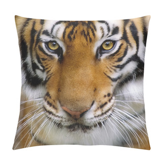 Personality  Tigers Face. Pillow Covers