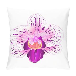 Personality  Beautiful Purple And White Orchid Phalaenopsis Flower Closeup Isolated Vintage  Vector Illustration Editable Hand Draw  Pillow Covers