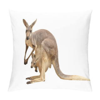 Personality  Kangaroo Isolated Pillow Covers