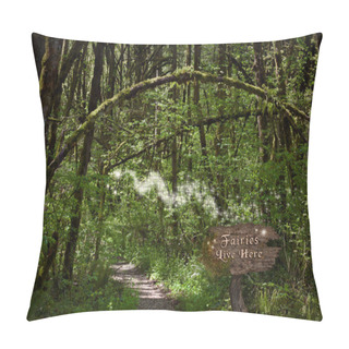 Personality  Fairies In Forest On Magical Path With Glowing Sparkles Of Light And Wood Sign  Pillow Covers