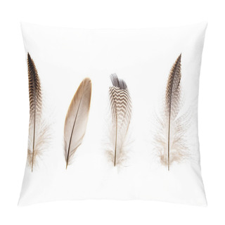 Personality  Set Of Beautiful Fragile Little Bird Feathers Isolated Pillow Covers